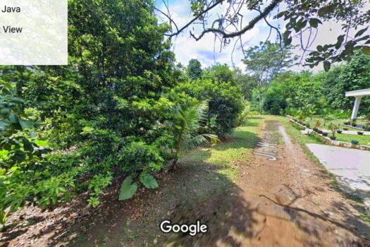 Jual Tanah Di Komplek Parung Hijau Tonjong Tajur Halang Parung Bogor Murah Strategis Tanpa Perantara